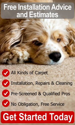 Carpet Advice and Estimates